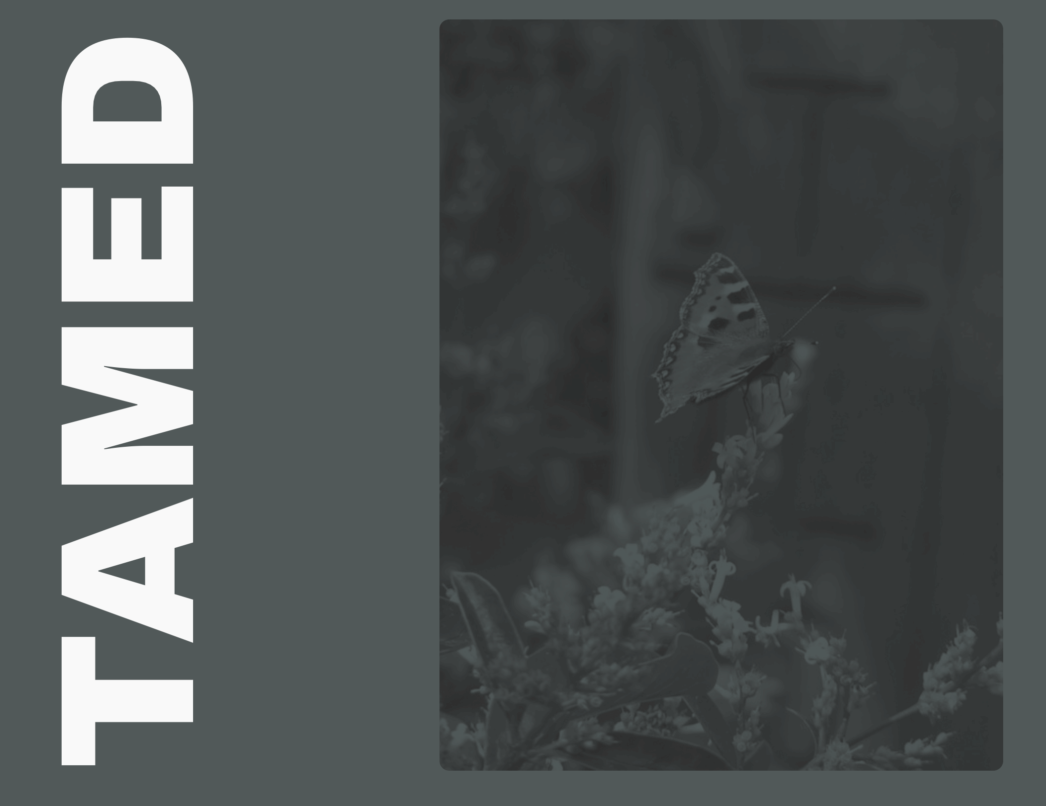 About Tamed.garden Gardener in East Riding